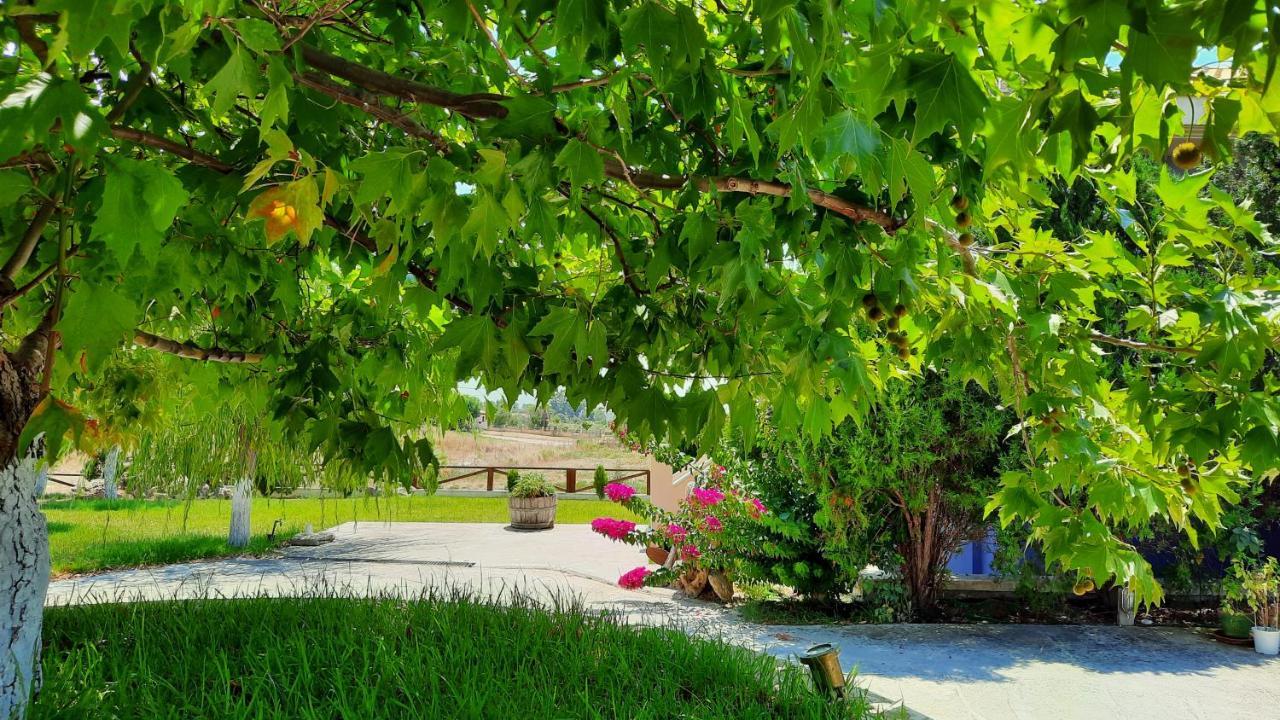 Alekos Beach Houses-Angelo Ληξούρι Εξωτερικό φωτογραφία